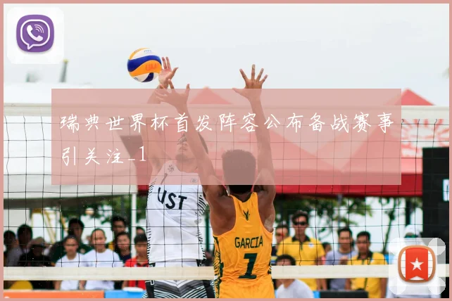 瑞典世界杯首发阵容公布备战赛事引关注_1
